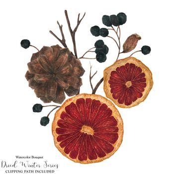 Christmas bouquet with dried oranges and winter plants, watercolor with clipping path