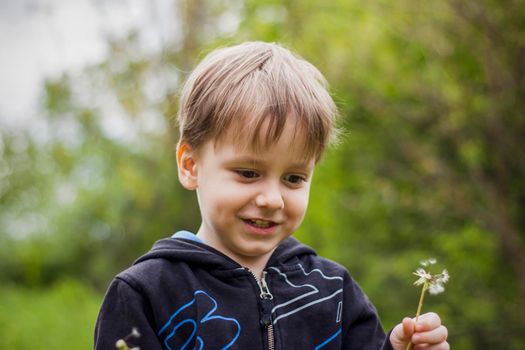 A happy boy on a spring day in the garden blows on white dandelions, fluff flies off him. The concept of outdoor recreation in childhood. Portrait of a cute boy. Funny facial expressions