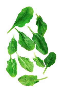 Pile of fresh green healthy baby spinach leaves on white background