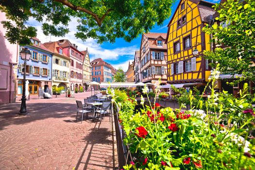 Colorful historic town of Colmar street architecture and flowers view, Alsace region of France