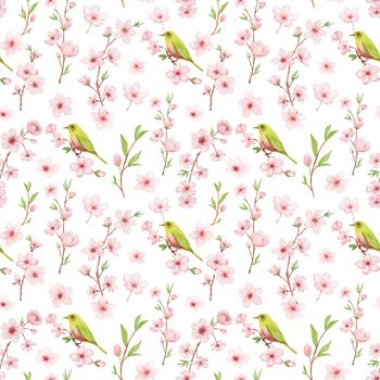 Branch of Cherry blossom watercolor seamless pattern on white backgraund. Japanese flowers and bird. Floral background