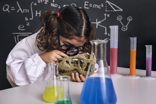 little scientist girl in lab coat with chemical flasks studying a dinosaur skull with her magnifying glass, back to school and successful female career concept