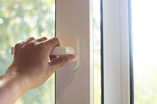 A slightly open window on a background of wood and sunlight