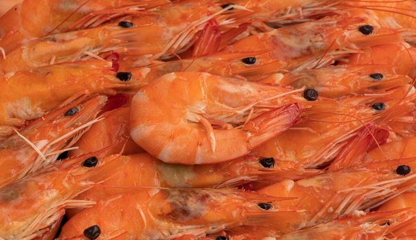 large shrimps are arranged in even rows. Ready-made seafood. Royal shrimp concept. shrimp texture. High quality photo