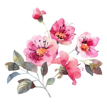 Watercolor illustration with pink flowers and leaves - beautiful bouquet, artistic painting