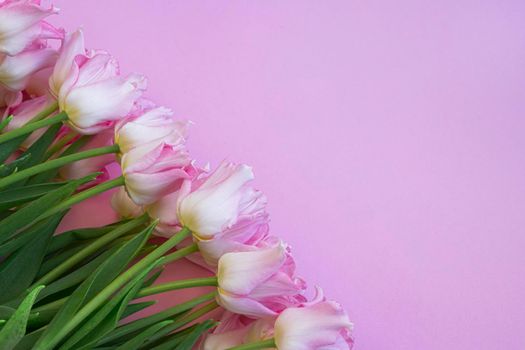 Beautiful composition spring flowers. Bouquet of pink tulips flowers on pastel pink background. Flat lay, top view, copy space