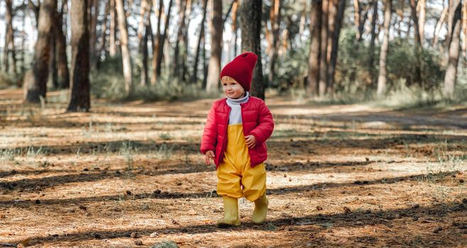 Little cute child girl walking in the autumn forest. Cute female kid wearing red hat happy at nature outdoors