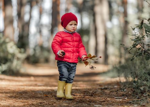Cute girl child in the forest at autumn holding in her hnds leaves bouquet and pine cones. Female kid in the wood outdoors portrait