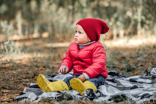 Little girl child sitting on the ground on plaid in the forest at autumn and looking back. Female kid portrait at nature