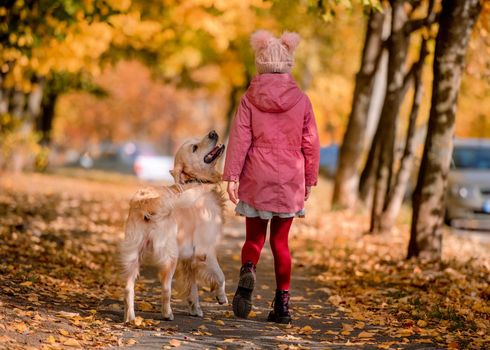 Preteen girl kid with golden retriever dog walking at autumn park. Beautiful portrait of child and pet doggy outdoors at nature from back