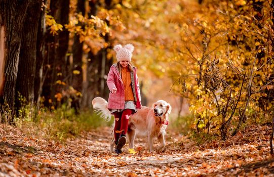 Preteen girl kid with golden retriever dog at autumn park with trees with yellow leaves. Beautiful portrait of child and pet outdoors at nature