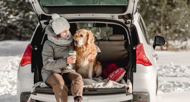 Girl sitting in car trunk with golden retriever dog in winter time with eco cup mug with hot beverage. Young woman with doggy pet labrador in auto transportation outdoors
