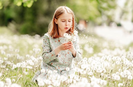 Little girl blowing at blowballs flowers sitting in field. Cute child kid with dandelions at nature