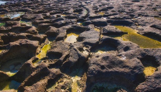 Close-up of weathered rocky beach using a wide-angle lens