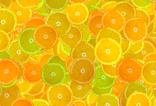 citrus texture. Background with citrus fruit slices. High quality photo