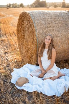 Cheerful girl in the harvested field