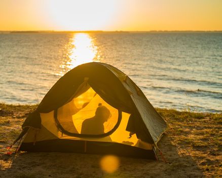 Woman and dog in a tourist tent at sunset. Camping with a pet.