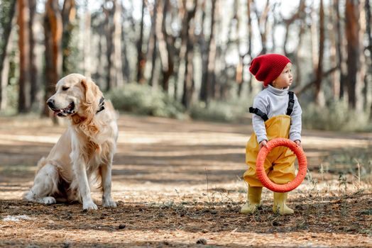 Little girl playing with golden retriever dog in the forest and holding rubber toy in her hands. Cute female kid with doggie pet at nature in the wood