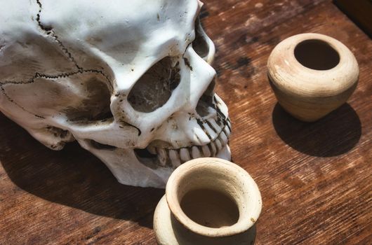 White skull and bowls on a medieval apothecary's table