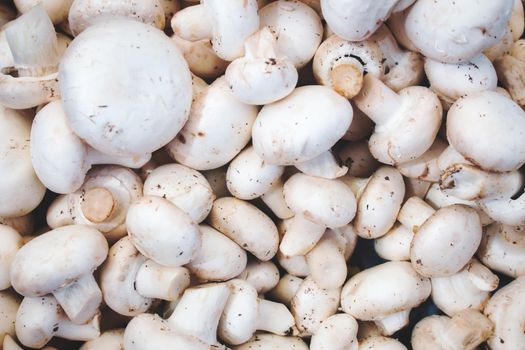 Close-up of white button mushrooms