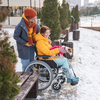 A woman in a wheelchair walks with her friend and a dog by the lake in winter