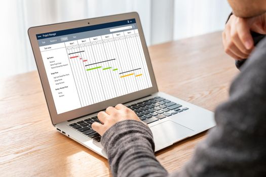 Project planning software for modish business project management on the computer screen showing timeline chart of the team project