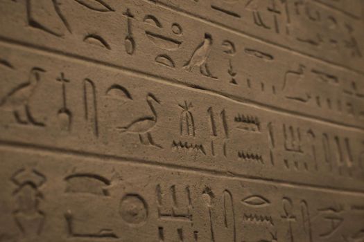 Close-up of ancient Egyptian hieroglyphics carved on a stone wall