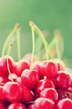 Beautiful red fresh cherries. Healthy food - fruits. Concept for organic and healthy lifestyle