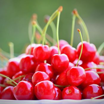 Beautiful red fresh cherries. Healthy food - fruits. Concept for organic and healthy lifestyle