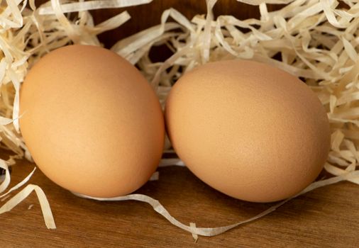 brown egg on a wooden table on a background of paper shavings. High quality photo