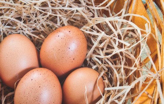 Close-up of freshly laid eggs in a wicker basket with straw
