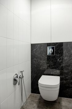 Contemporary lavatory pan and hygienic shower