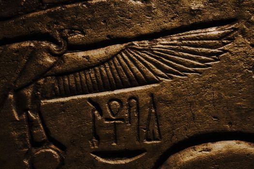 Egyptian hieroglyphics set in stone with symbols and a vulture