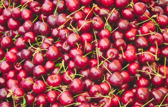 A big pile of fresh ripe red cherries forming a full-frame background