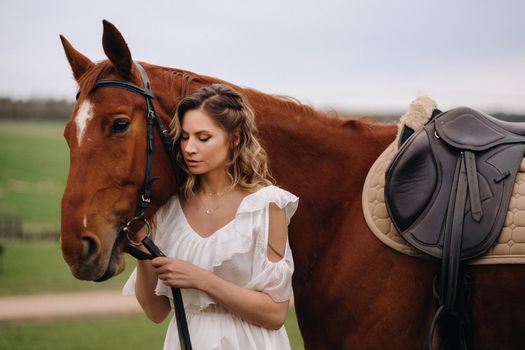 A girl in a white sundress stands next to a brown horse in a field in summer.