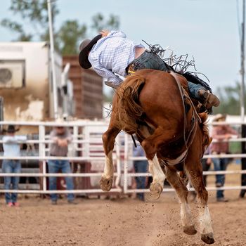 Wild bronco has bucked off his cowboy rider at an Australian country rodeo