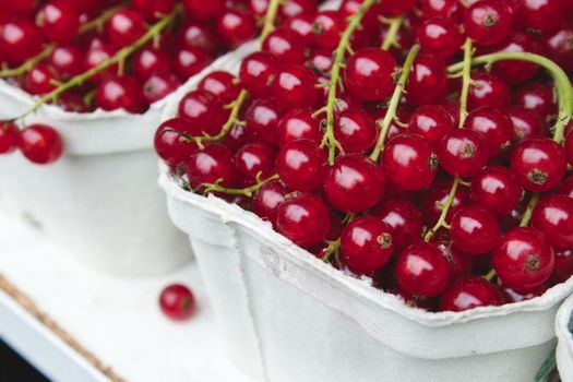 Close-up of a carton of cranberries on the stem at a food market