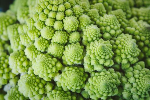 Close-up macro shot of fresh green Romanesco broccoli