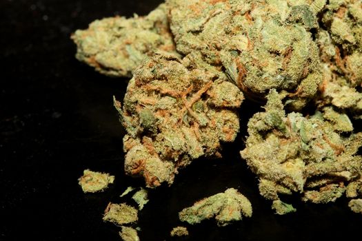 Marihuana buds close up in black background pure medical cbd super lemon haze cannabis sativa family cannabaceae big size high quality print