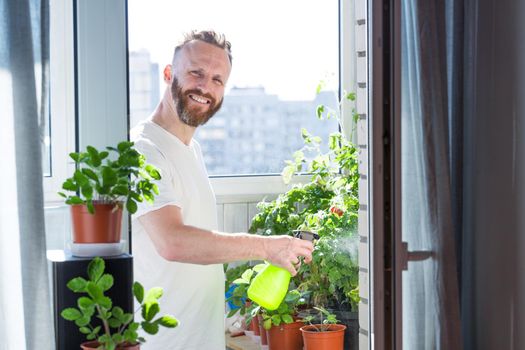 Mid adult man watering tomatoes on his city balcony garden - Nature and ecology hobby theme