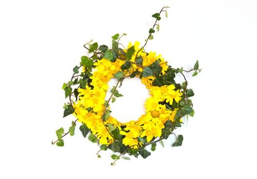 Floral wreath with green ivy and yellow daisies isolated against a pure white background