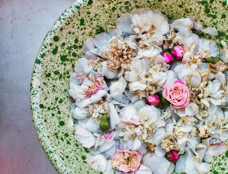 Rose petals in water in a ceramic bowl