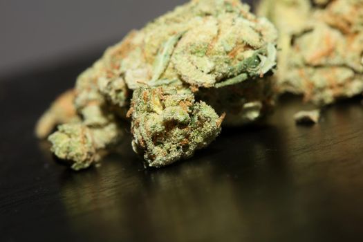 Marihuana buds close up in black background pure medical cbd super lemon haze cannabis sativa family cannabaceae big size high quality print