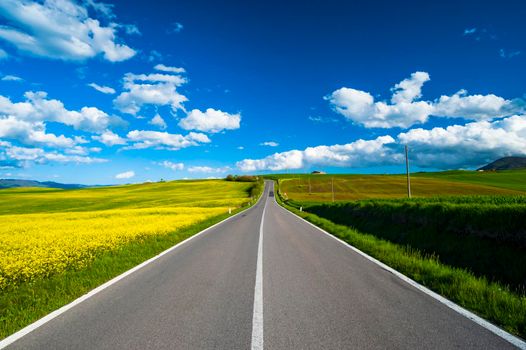 Road in the nature