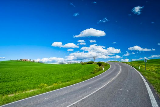 Road in the nature.