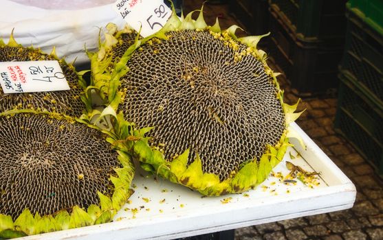 Large sunflower head with seeds being sold at a food market