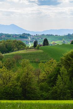 Beautiful view of Slovenian hills, green Alpine meadow and hills scenery