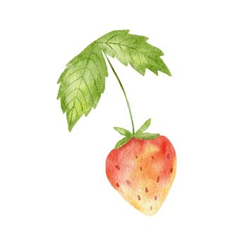 Watercolor cute strawberry with green leaf. Stylized drawing illustration of summer berry isolated on white