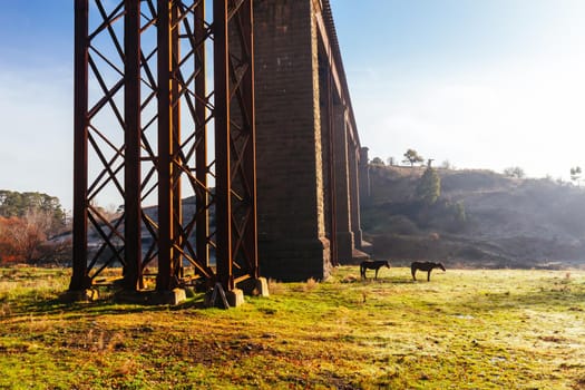 A 19th century viaduct in Taradale, Victoria, Australia on a clear spring day.