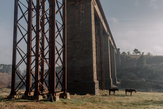 A 19th century viaduct in Taradale, Victoria, Australia on a clear spring day.